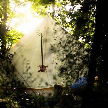 Отель Hollington Park Glamping Ньюбери Экстерьер фото