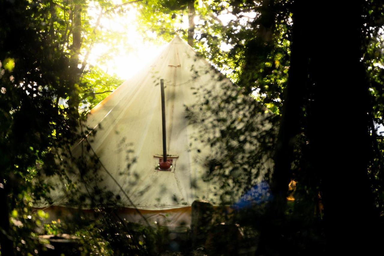 Отель Hollington Park Glamping Ньюбери Экстерьер фото