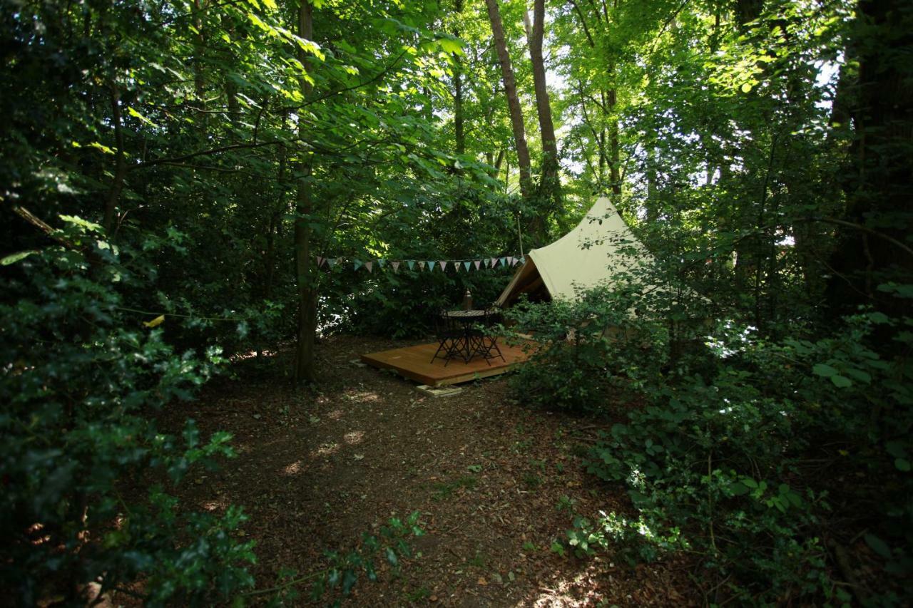 Отель Hollington Park Glamping Ньюбери Экстерьер фото